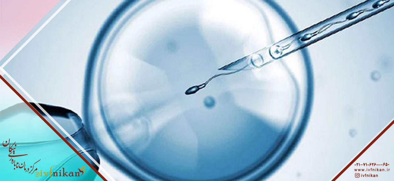 مراحل انتقال جنین بعد از انجام عمل پانکچر
