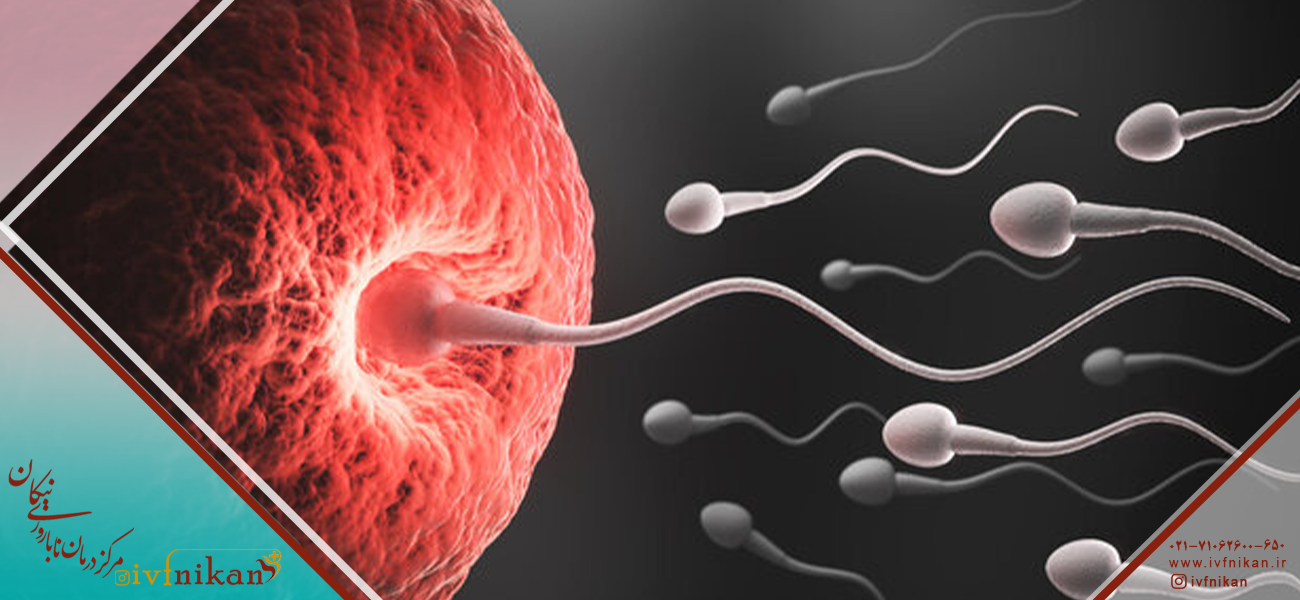 نحوه گزارش گرید جنین در IVF: