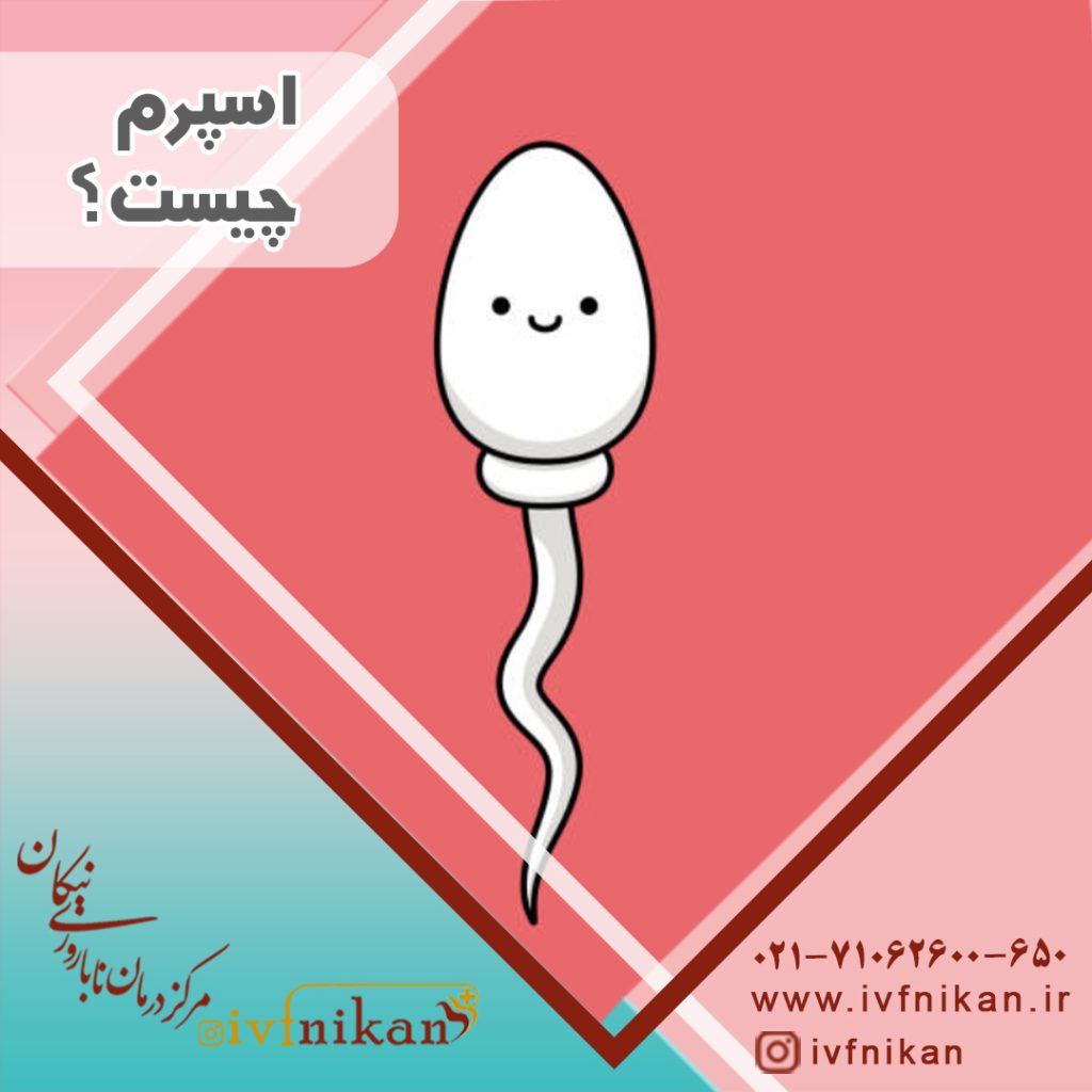 اسپرم چیست؟